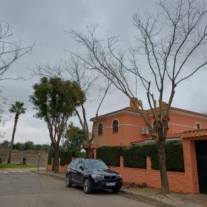 PODA S VERDE CALLE 1