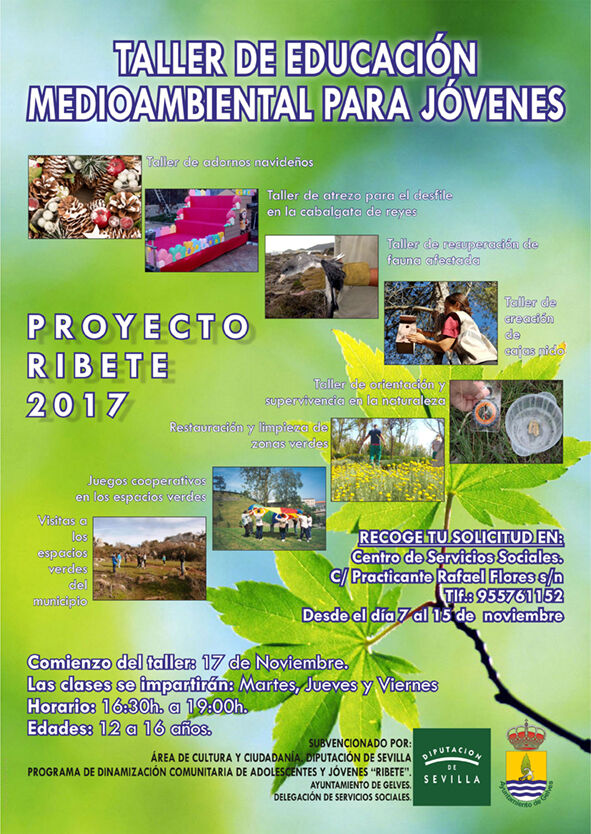 PROYECTO RIBETE 2017 CARTEL