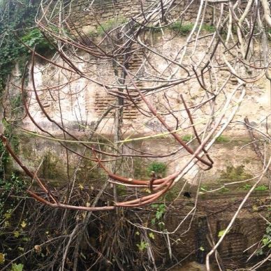 Panorámica alberca polideportivo