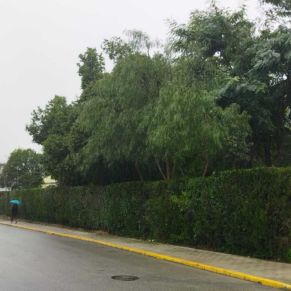 SETO POLIDEPORTIVO 3