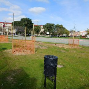 SIEMBRA SOLE DUQUES 4