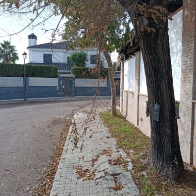 TRATAMIENTOS fresnos 2