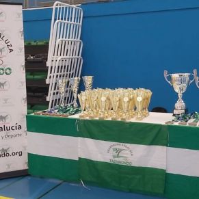 TROFEOS Y MEDALLAS