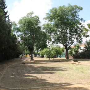 ZONA VERDE 4