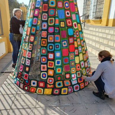 arbol gelves teje 2024-1