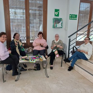 arbol gelves teje 2024-4