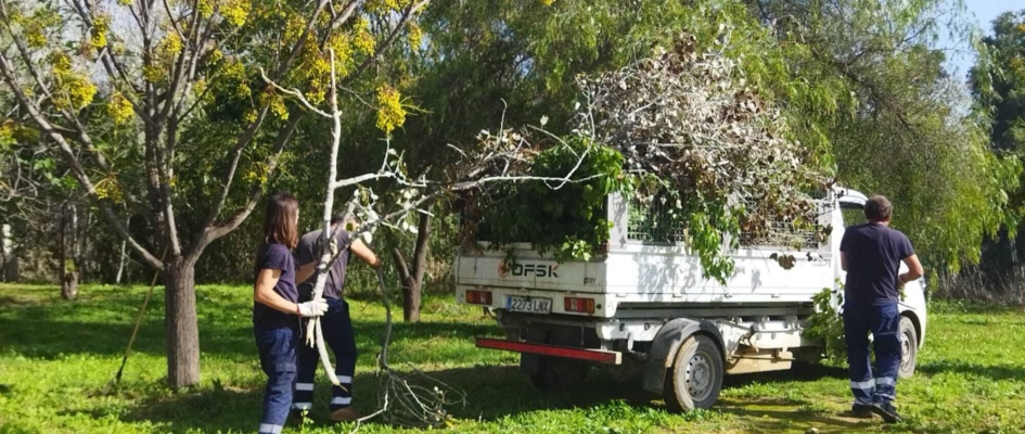 arreglo parques temporal 27 oct 23-8