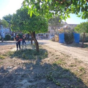 arreglos parque pandero coronacion 4