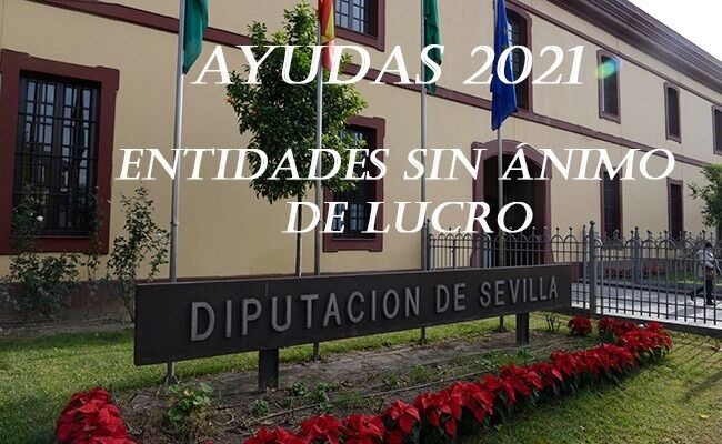 ayudas diputacion entidades 2021