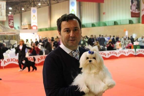 cachorro premiado de Alberto Muñoz W