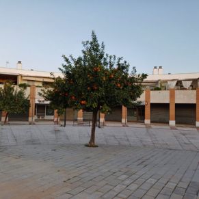 calle almeria obra 3