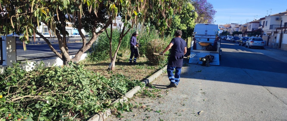 calle lima jardineria ok