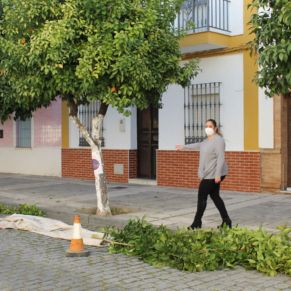 calle real naranjos 2