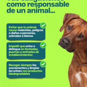 campaña mascotas gelves 26-2
