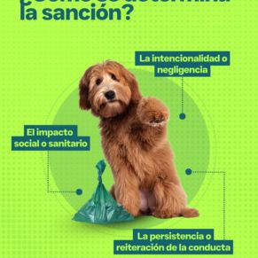 campaña mascotas gelves 26-5