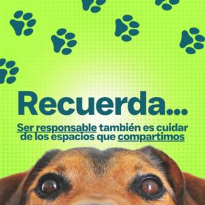 campaña mascotas gelves 26-6