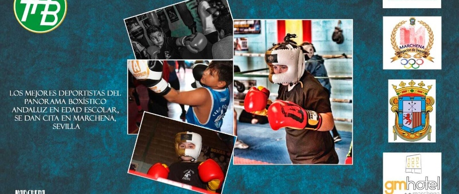 campeonato boxeo andaluz