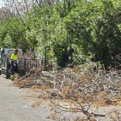 carril bici marina 1