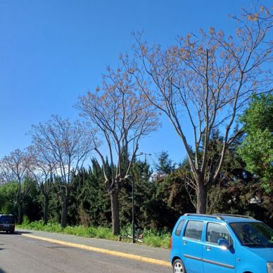carril bici marina 3