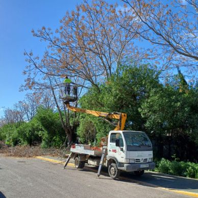 carril bici marina grua