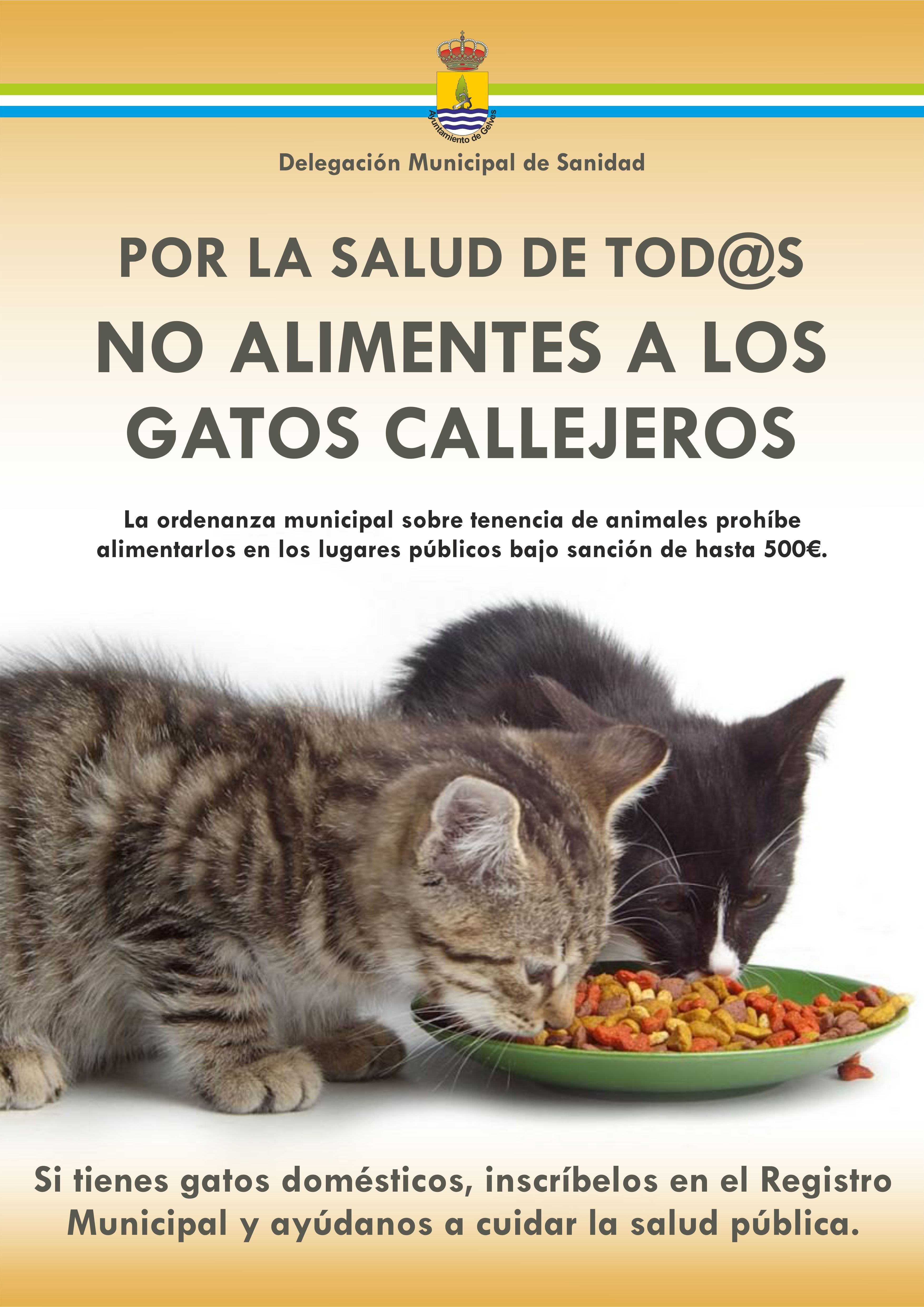 cartel no alimentes gatos callejeros 2018