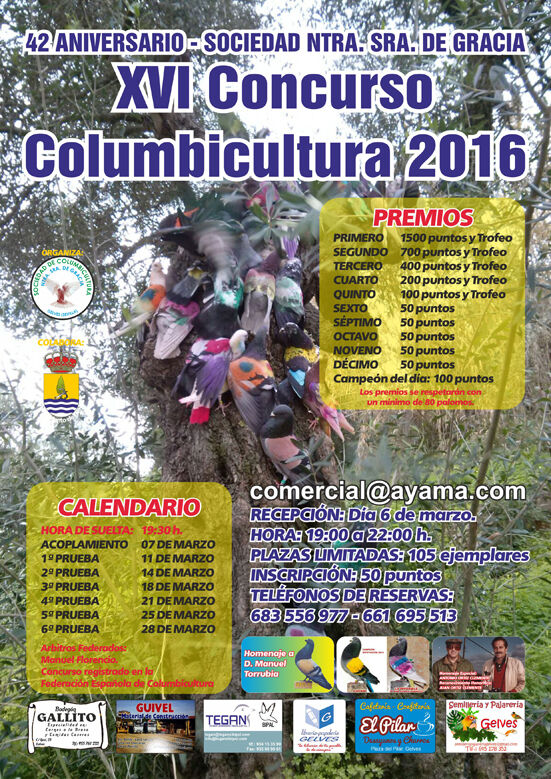 concurso de columbicultura antonio ortiz clemente 2016 w