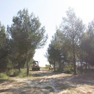 cortafuegos gelves 2022-5