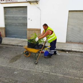 desbroce La Maestranza