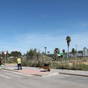 desbroce hacienda simon verde 1