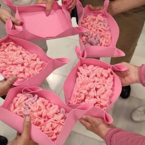 dia contra cancer de mama gelves 2023- lazos rosas