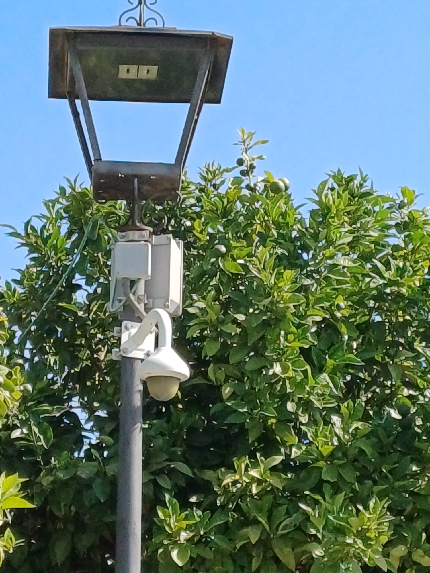 e3fd1364-a789-45da-8fb1-e1c29571793e