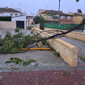 efectos termporal bernard octubre 23 10