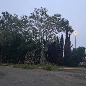 efectos termporal bernard octubre 23 12