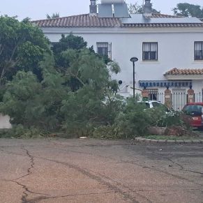 efectos termporal bernard octubre 23 13