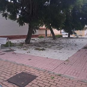 efectos termporal bernard octubre 23 15