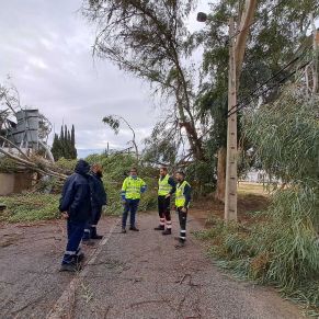 efectos termporal bernard octubre 23 2