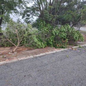 efectos termporal bernard octubre 23 8