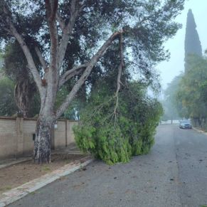 efectos termporal bernard octubre 23 9