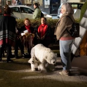 encendido alumbrado gelves 5 dic 2025 25