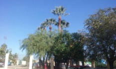 terraplén barrionuevo 1w