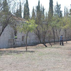 exterior cementerio gelves arreglos parecdes