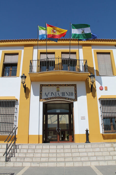 fachada ayuntamiento vertical w