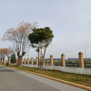 federico garcia lorca 1