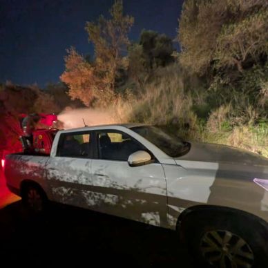 fumigacion mosquito nilo gelves nov 25-03