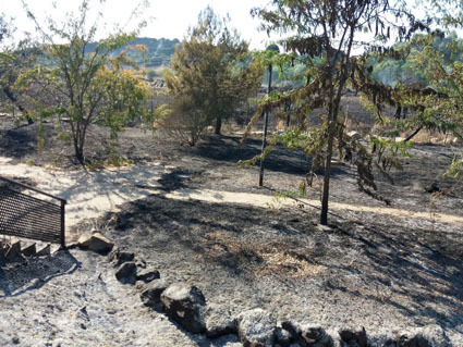 incendio sept 2017-2w