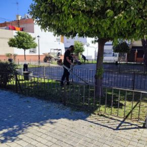 jardineria abril 25- 6