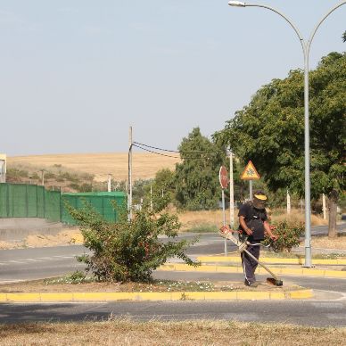 jardineria agosto 21