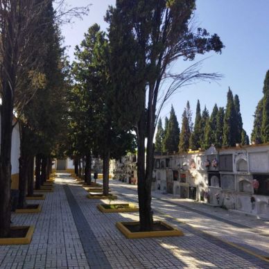 jardineria cementerio fin 4