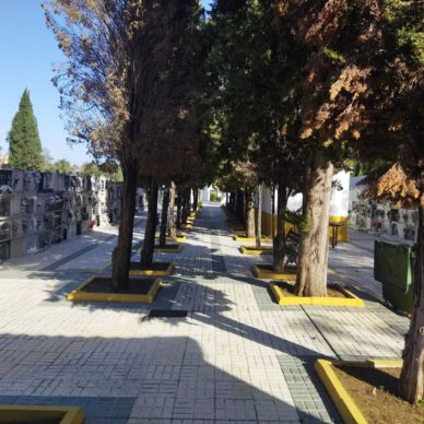 jardineria cementerio fin 5