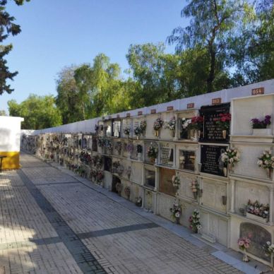 jardineria cementerio fin 6